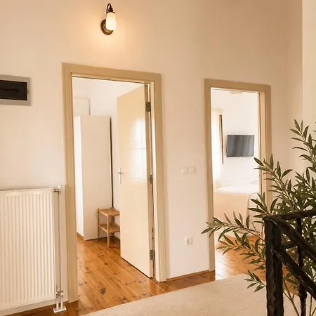 فيلة Domivita *